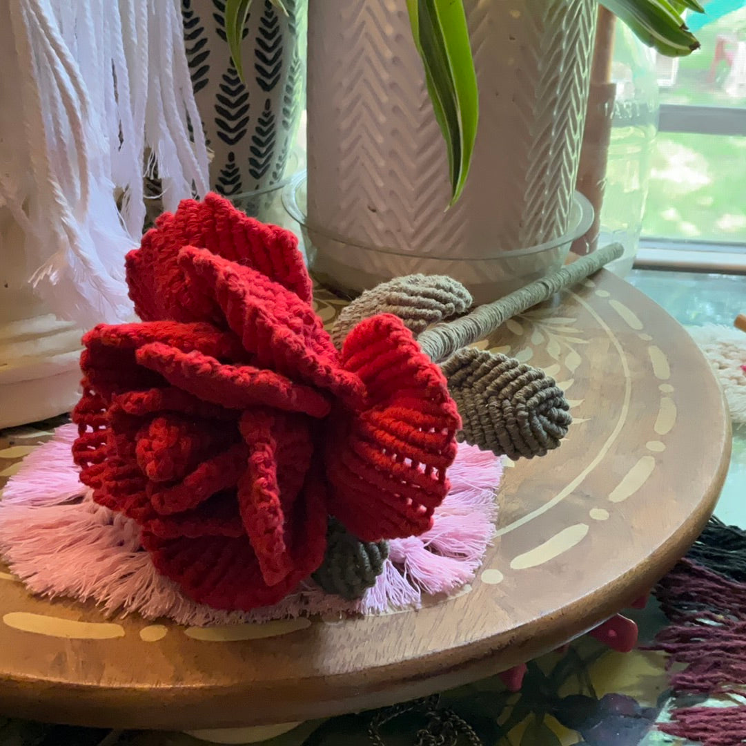 Long Stem Rose
