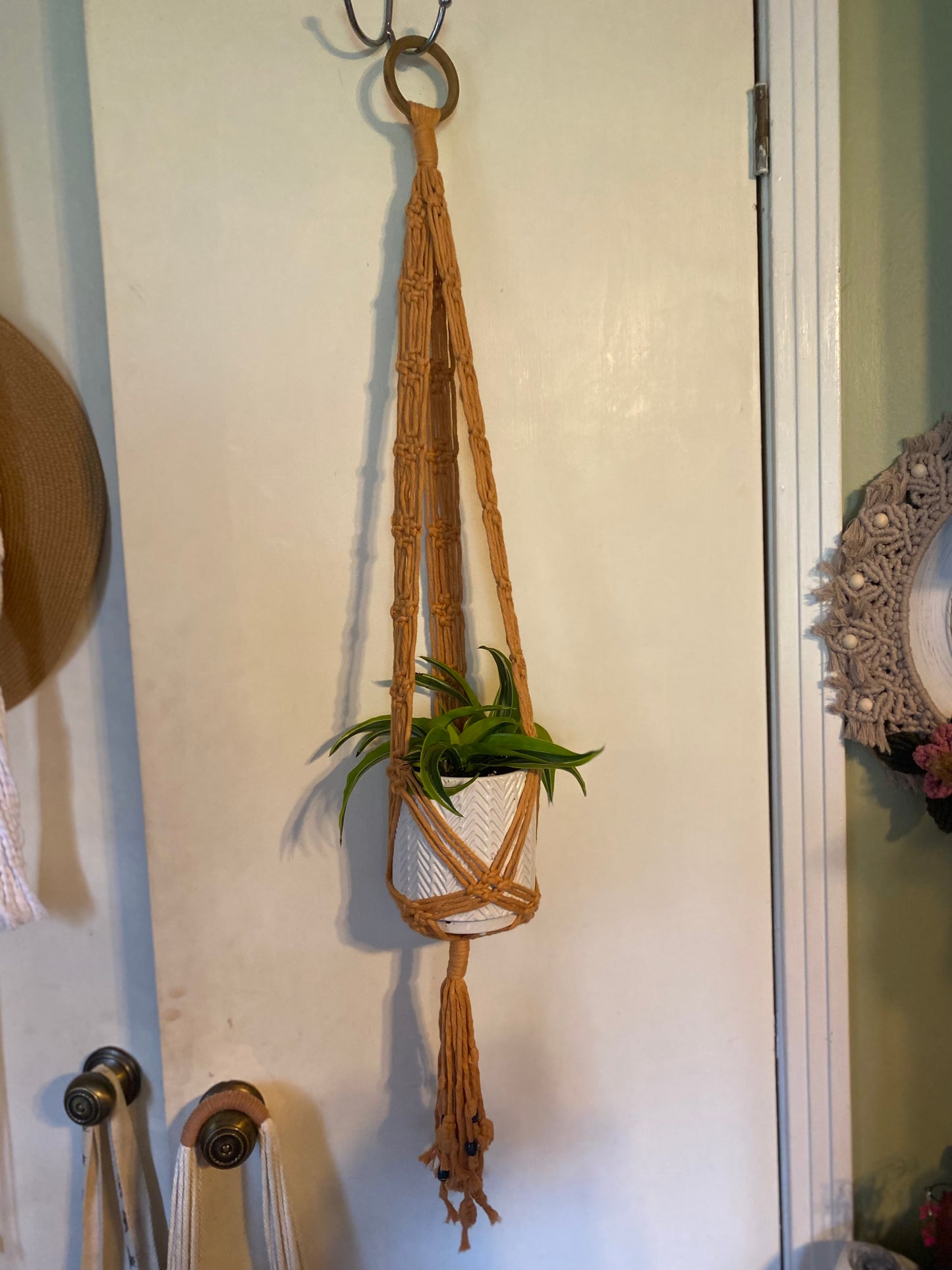 Plant Hanger