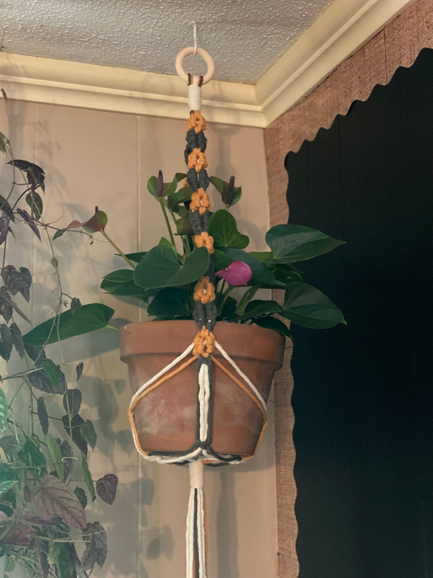 Daisy Plant Hangers