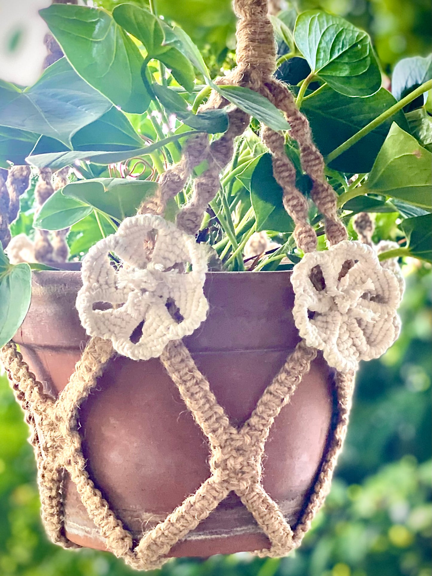 Floral Plant Hanger