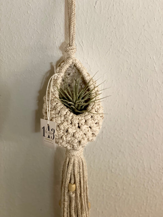 Small Plant Holder