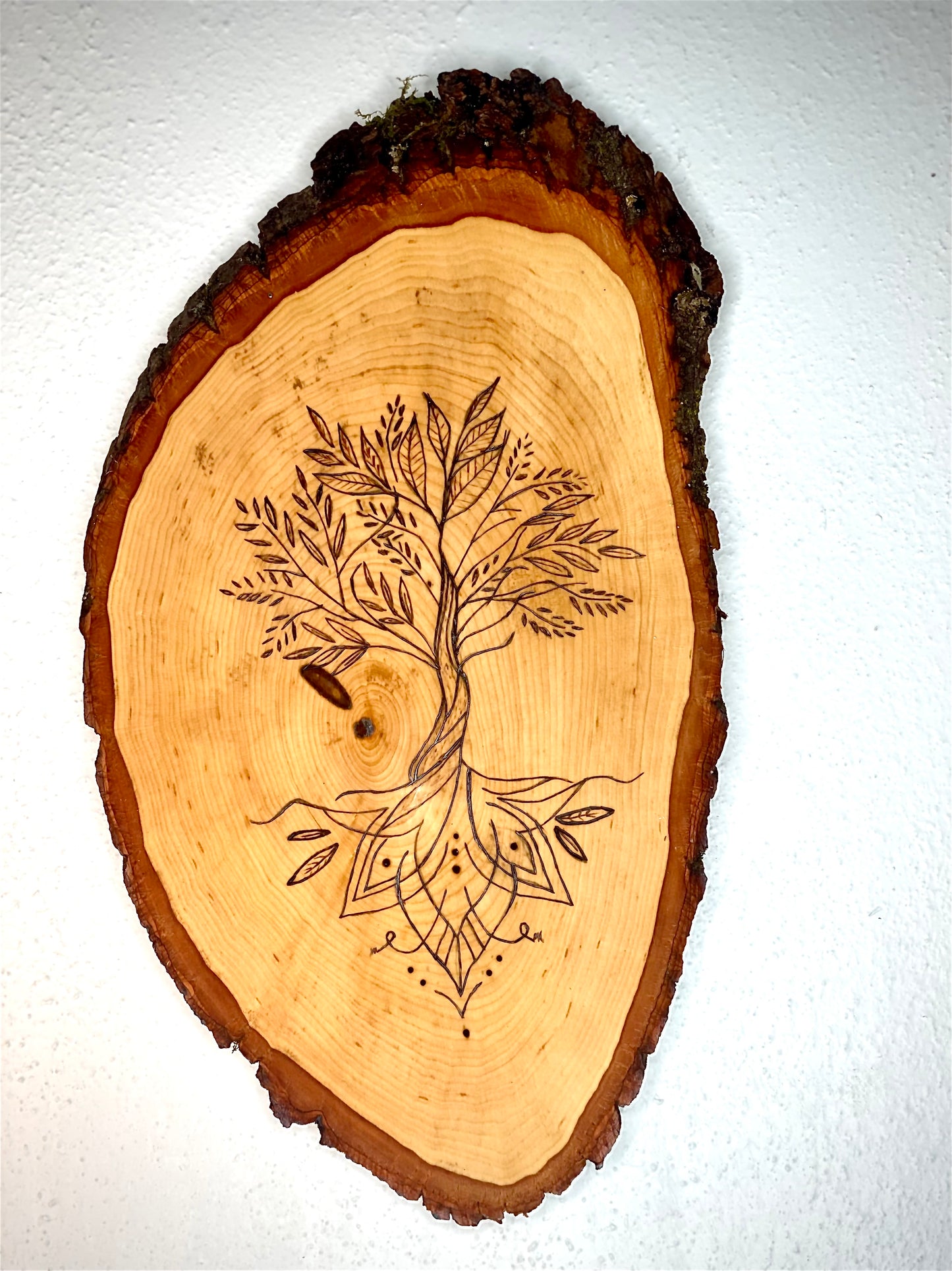 Tree of Life