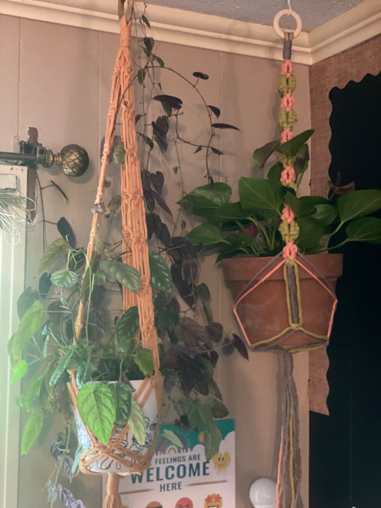 Daisy Plant Hangers