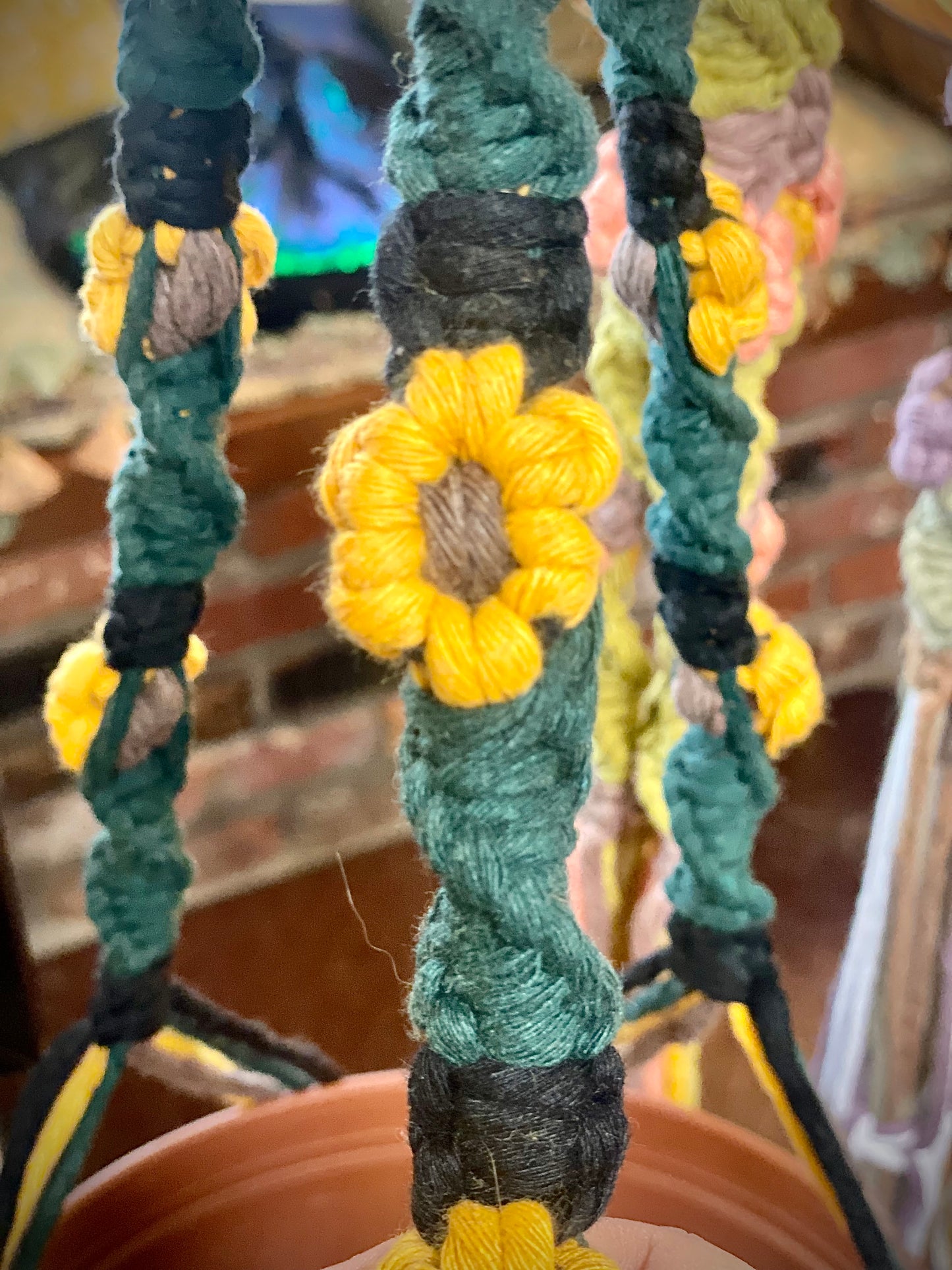 Daisy Plant Hangers