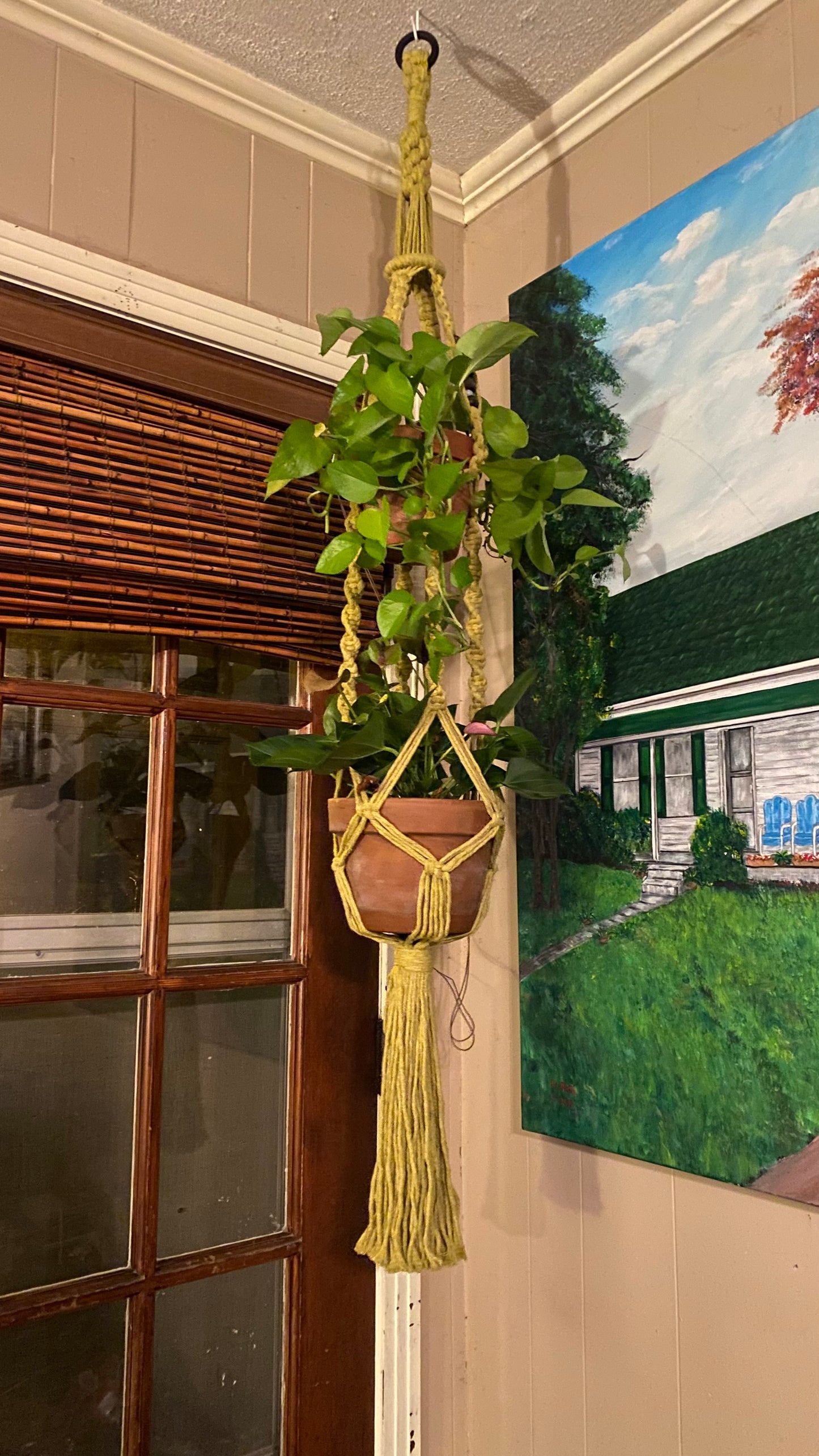 Double Plant Hanger