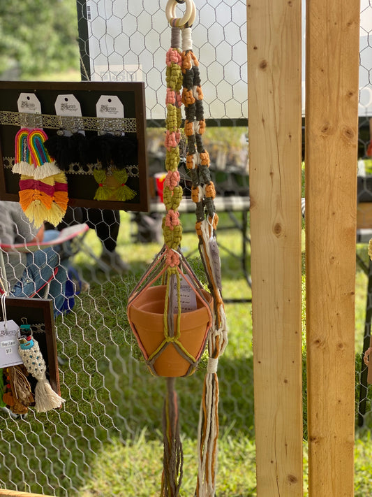 Daisy Plant Hangers